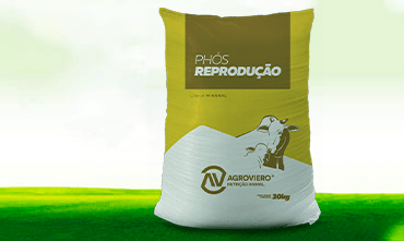 phos reproducao frente