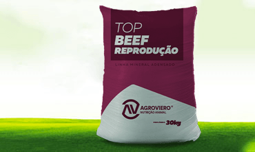 top beef reproducao img1